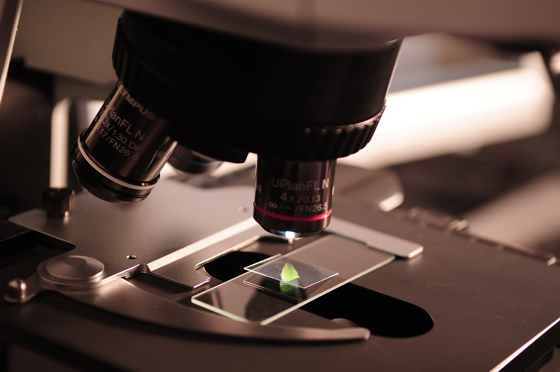 How to Become Scientist How to Become Scientist