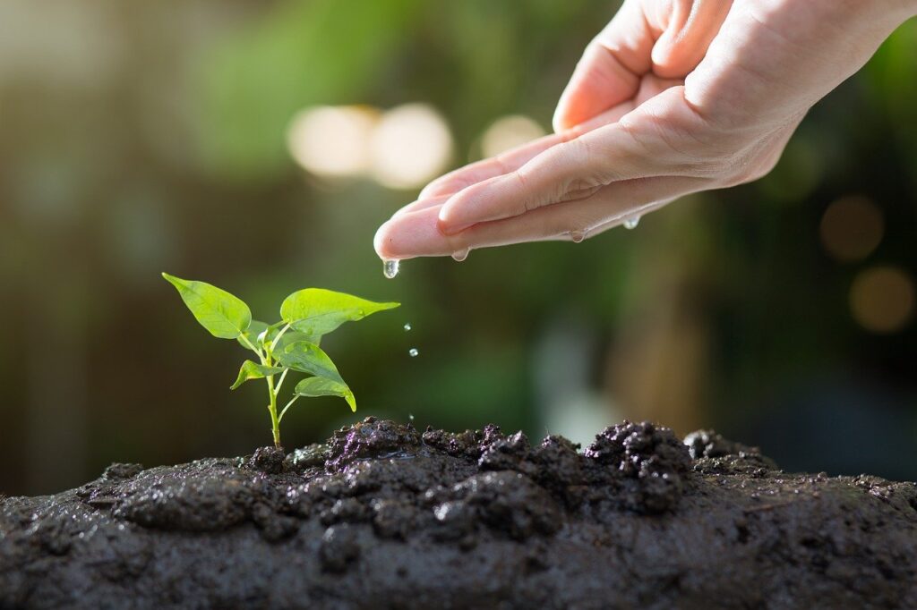 10 Importance of Gardening